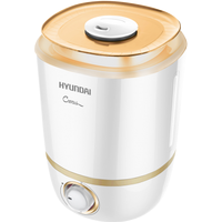 Hyundai Crocus H-HU1M-4.0-UI045