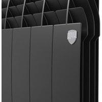Royal Thermo Biliner Alum 500 Noir Sable (6 секций)