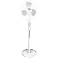 Oasis (Making Oasis Everywhere) VF-40DMW