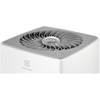 Electrolux EAP-1040D Yin&Yang