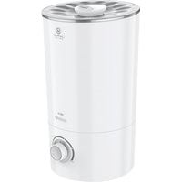 Royal Clima Tube RUH-TB300/4.0M-WT