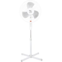 Oasis (Making Oasis Everywhere) VF-40PWG