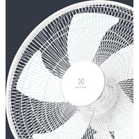 Electrolux EFF-1020i