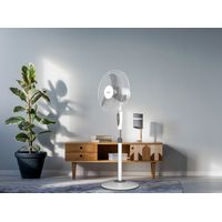 Ballu BFF-806 (серый)