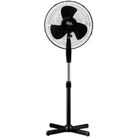 Oasis (Making Oasis Everywhere) VF-40PB