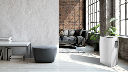 Кондиционер мобильный Electrolux Loft EACM-11 CL/N3 8527