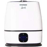 Hyundai Lizardis H-HU3E-6.0-UI047