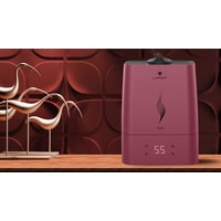 Loriot Vega LHS-C530E