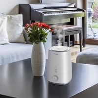 Hyundai Tulip H-HU8M-4.0-UI184