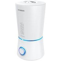 Hyundai Mirabilis Novus H-HU10M-3.0-UI186