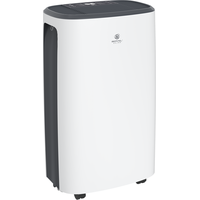 Royal Clima Carisma Loft RD-CR20-E