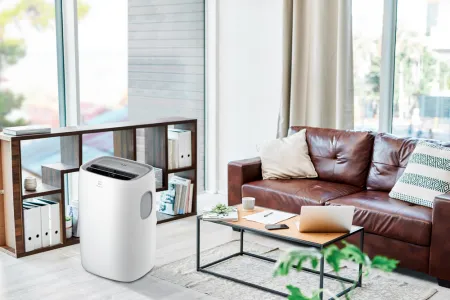 Кондиционер мобильный Electrolux Loft EACM-11 CL/N3 8527