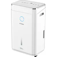 Hyundai Sahara P83WF